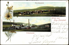 wilems1898.jpg
